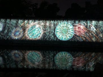 二条城×ネイキッド 二条城夏まつり2021に投稿された画像（2020/8/16）