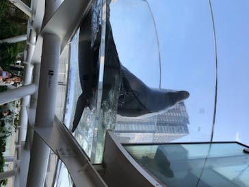 サンシャイン水族館に投稿された画像（2020/8/16）