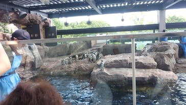 京都水族館に投稿された画像（2020/8/16）