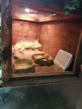 仙台うみの杜水族館に投稿された画像（2020/8/16）