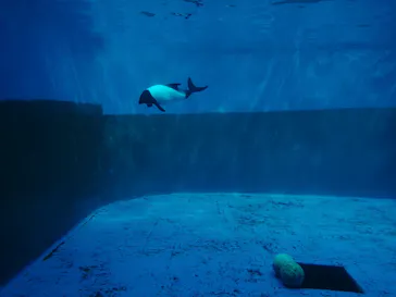 仙台うみの杜水族館に投稿された画像（2020/8/16）