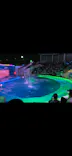 仙台うみの杜水族館に投稿された画像（2020/8/17）