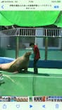 ゼロ距離水族館 伊勢シーパラダイスに投稿された画像（2020/8/17）