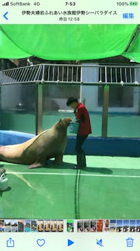 ゼロ距離水族館 伊勢シーパラダイスに投稿された画像（2020/8/16）