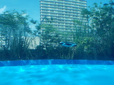 サンシャイン水族館に投稿された画像（2020/8/16）