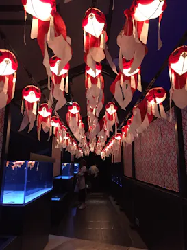 すみだ水族館に投稿された画像（2020/8/16）