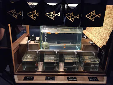 すみだ水族館に投稿された画像（2020/8/16）