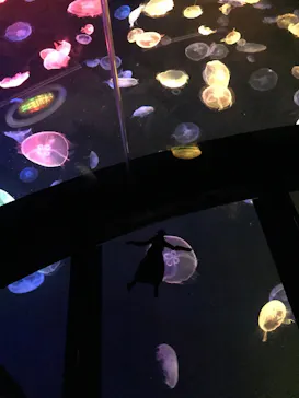 すみだ水族館に投稿された画像（2020/8/16）