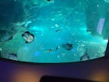 新江ノ島水族館に投稿された画像（2020/8/17）