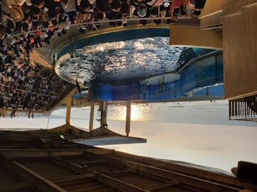 新江ノ島水族館に投稿された画像（2020/8/16）