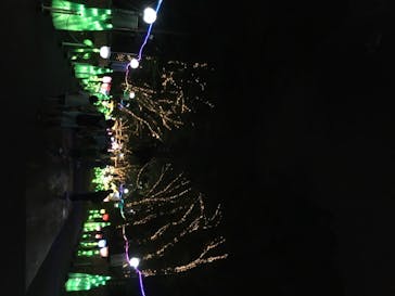 としまえんに投稿された画像（2020/8/17）