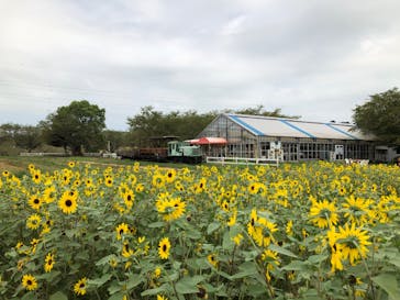 成田ゆめ牧場に投稿された画像（2020/8/17）