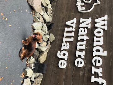 わんダフルネイチャーヴィレッジに投稿された画像（2020/8/17）