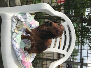 わんダフルネイチャーヴィレッジに投稿された画像（2020/8/17）