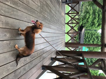 わんダフルネイチャーヴィレッジに投稿された画像（2020/8/17）