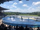 京都水族館に投稿された画像（2020/8/17）
