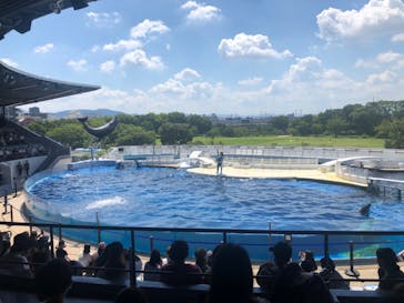 京都水族館に投稿された画像（2020/8/17）