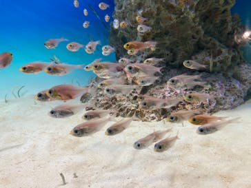 アクアワールド茨城県大洗水族館に投稿された画像（2020/8/17）