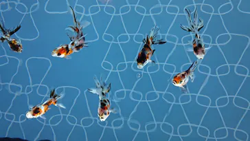 すみだ水族館に投稿された画像（2020/8/17）