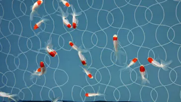 すみだ水族館に投稿された画像（2020/8/17）