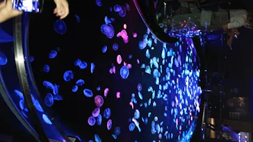 すみだ水族館に投稿された画像（2020/8/17）