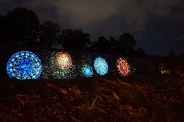 二条城×ネイキッド 二条城夏まつり2021に投稿された画像（2020/8/17）