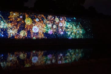 二条城×ネイキッド 二条城夏まつり2021に投稿された画像（2020/8/17）