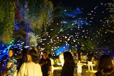 二条城×ネイキッド 二条城夏まつり2021に投稿された画像（2020/8/17）