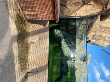 神戸どうぶつ王国に投稿された画像（2020/8/17）