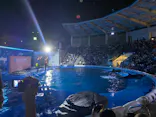 仙台うみの杜水族館に投稿された画像（2020/8/17）