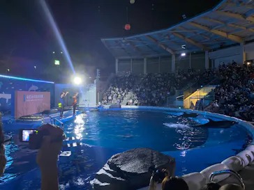 仙台うみの杜水族館に投稿された画像（2020/8/17）
