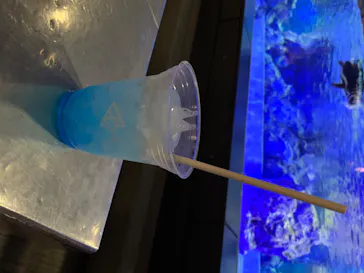 すみだ水族館に投稿された画像（2020/8/17）