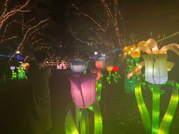 としまえんに投稿された画像（2020/8/16）