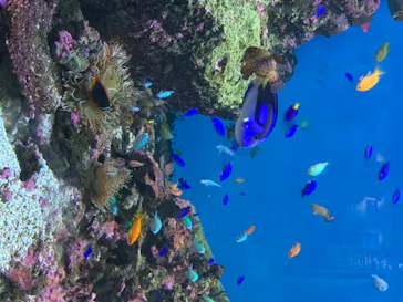 仙台うみの杜水族館に投稿された画像（2020/8/17）