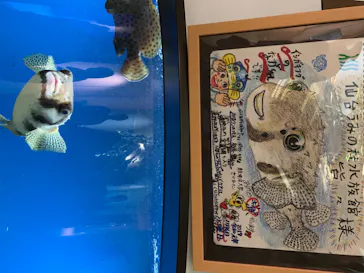 仙台うみの杜水族館に投稿された画像（2020/8/17）