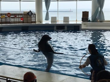 アクアワールド茨城県大洗水族館に投稿された画像（2020/8/17）