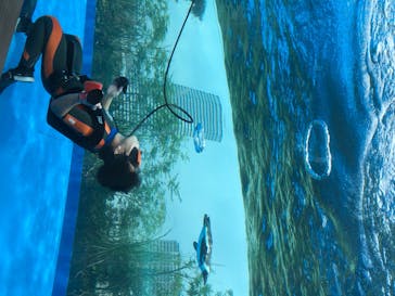 サンシャイン水族館に投稿された画像（2020/8/17）