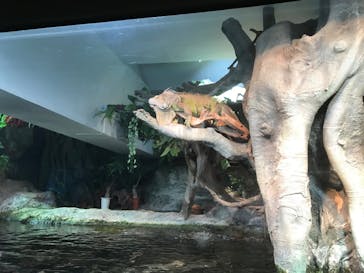 サンシャイン水族館に投稿された画像（2020/8/17）