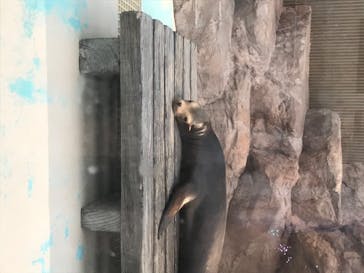 サンシャイン水族館に投稿された画像（2020/8/17）