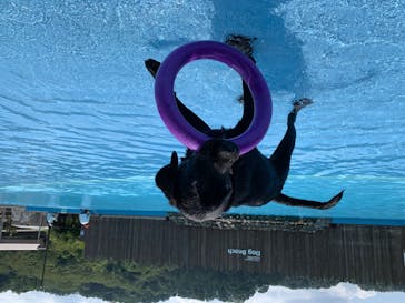 わんダフルネイチャーヴィレッジに投稿された画像（2020/8/17）