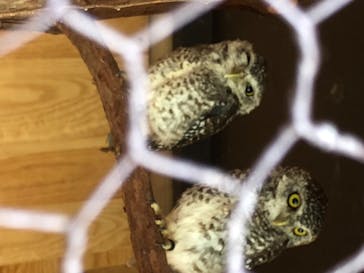 那須サファリパークに投稿された画像（2020/8/17）