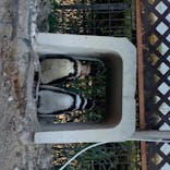 株式会社Gに投稿された画像（2020/8/17）