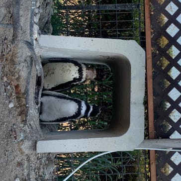 株式会社Gに投稿された画像（2020/8/17）