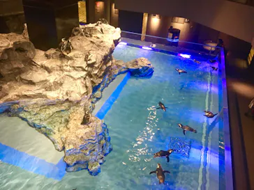 すみだ水族館に投稿された画像（2020/8/17）