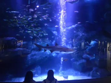 すみだ水族館に投稿された画像（2020/8/17）