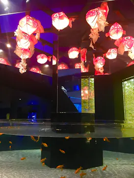 すみだ水族館に投稿された画像（2020/8/17）