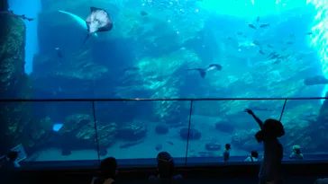 仙台うみの杜水族館に投稿された画像（2020/8/17）