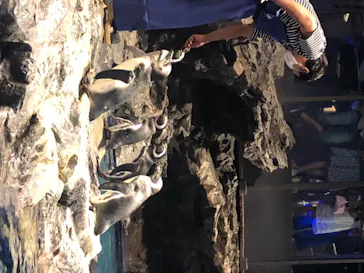 すみだ水族館に投稿された画像（2020/8/17）