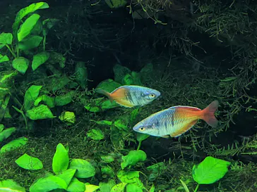 すみだ水族館に投稿された画像（2020/8/17）