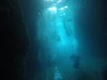 武藤潜水に投稿された画像（2020/8/17）
